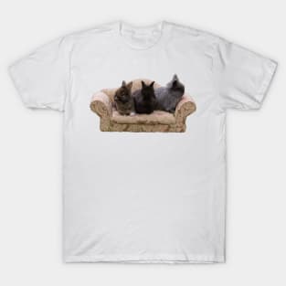 Baby Bunnies T-Shirt